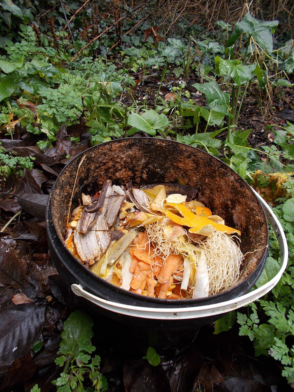 7 Tips Mengurangi Sampah Makanan di Dapur